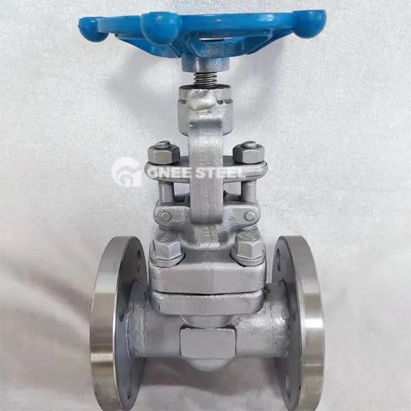 Valvi tal-globu API 602