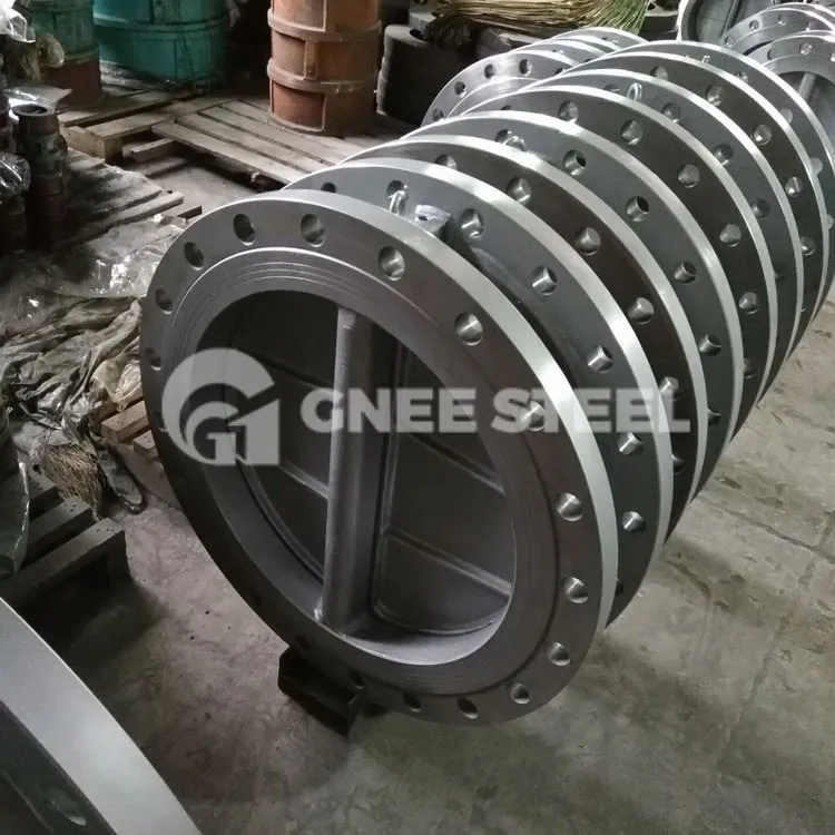 Double Flange Double Plate Check Valve