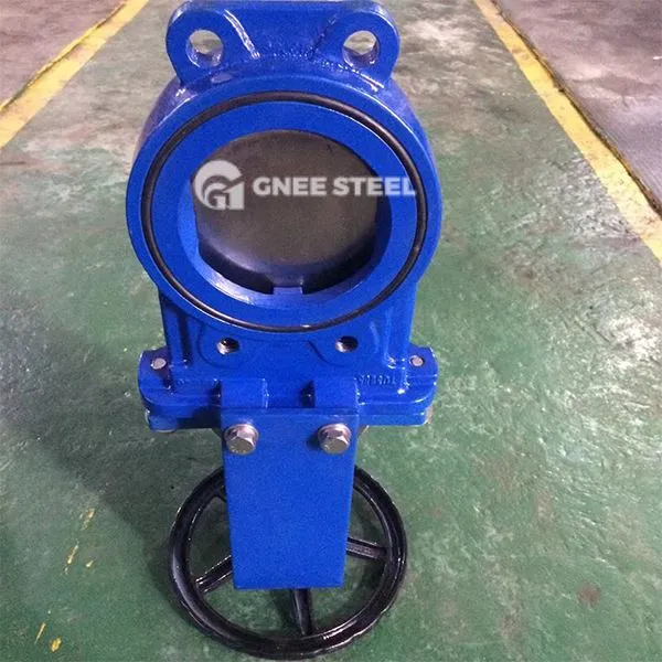 Valv tal-bieb tas-sikkina tal-ħadid duttili