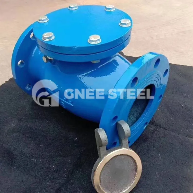 Valvoli ta' Iċċekkjar Swing Port Sħiħ