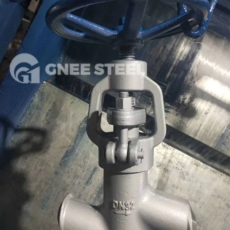 Pressjoni Għolja Globe Valve