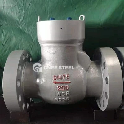 high temperature check valve high temperature check valve