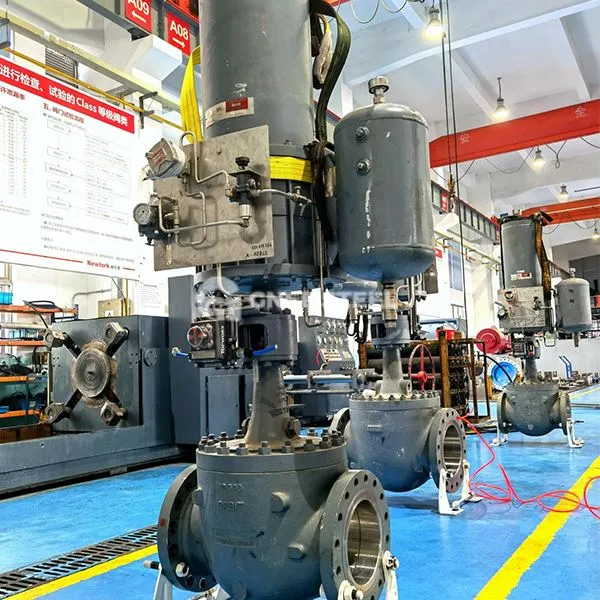 Valv tal-ballun tal-orbita