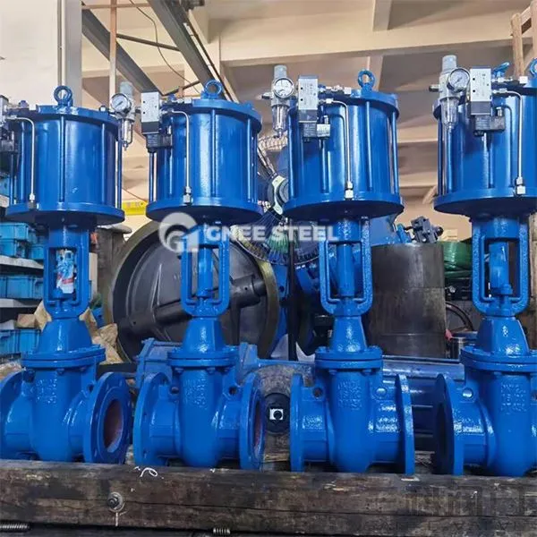 Valvi tal-bieb tal-feles pnewmatiku