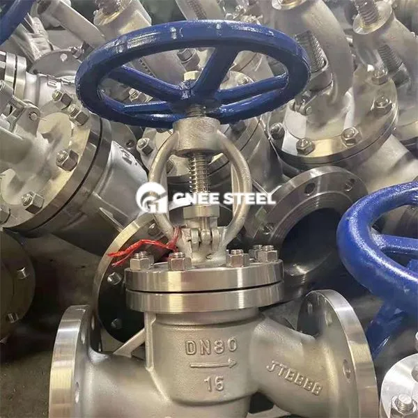 Stainless Steel Class 800 Globe Valve