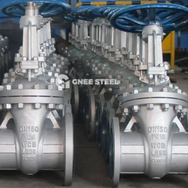 Valvi tal-bieb tal-feles tal-istainless steel