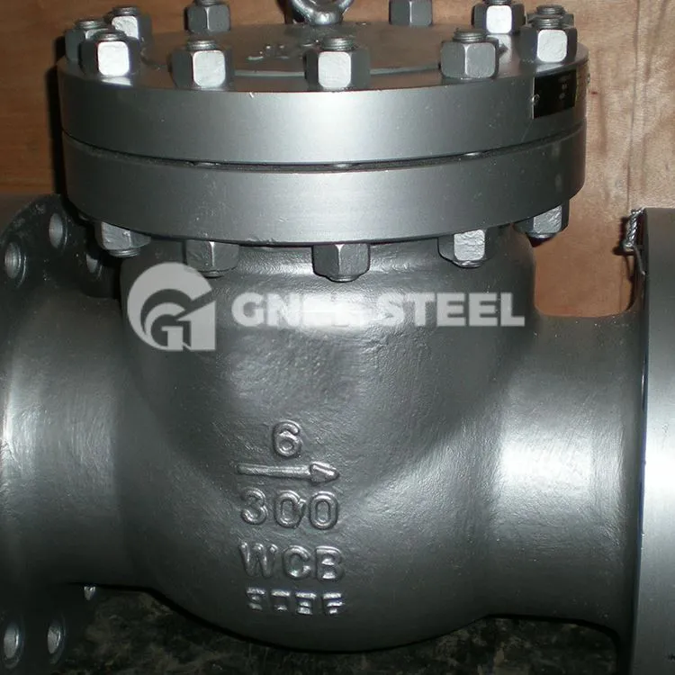 Swing Flex Check Valve