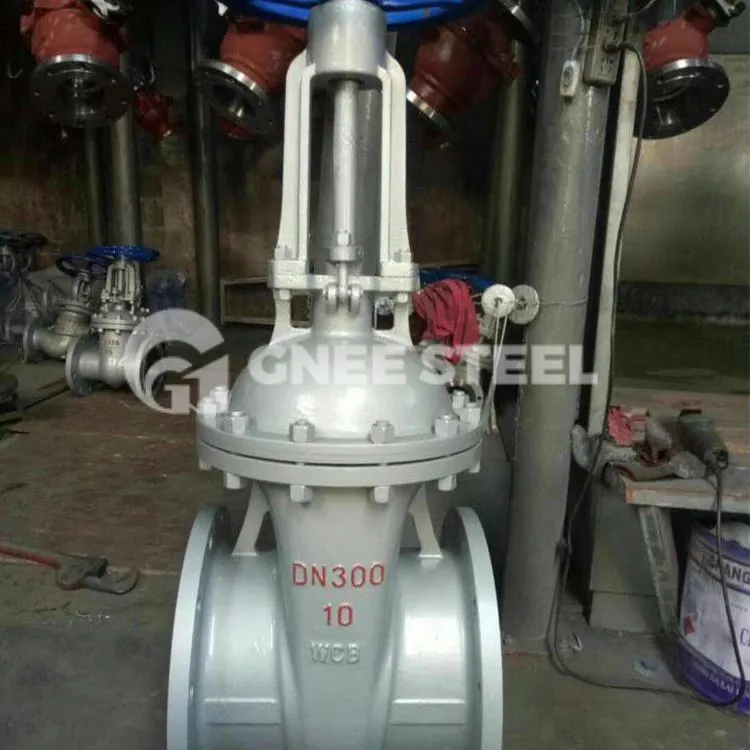 Thru Konduit Gate Valves